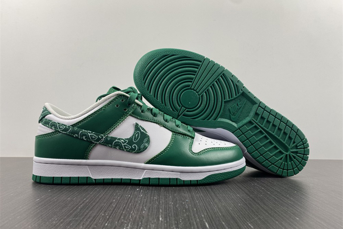 Nike Dunk Low SB DH4401-102