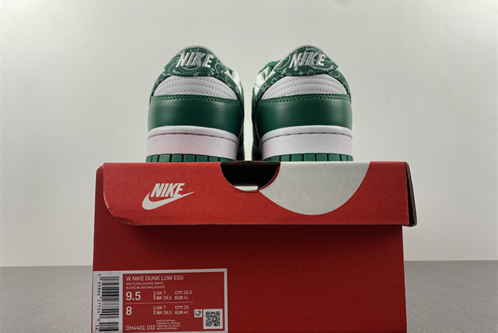 Nike Dunk Low SB DH4401-102