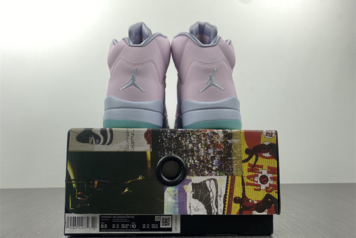 Air Jordan 5 DV0562-600