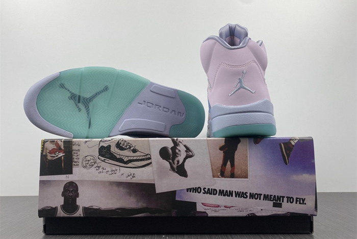 Air Jordan 5 DV0562-600