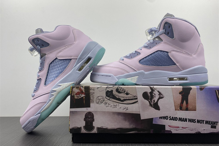 Air Jordan 5 DV0562-600