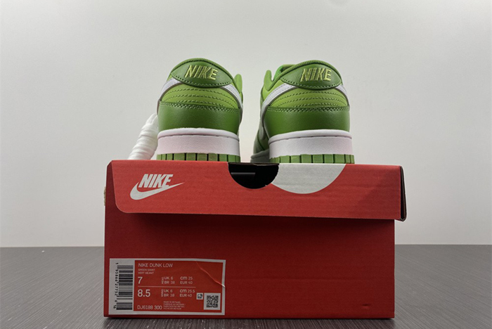 Nike Dunk Low Style Code DJ6188-300