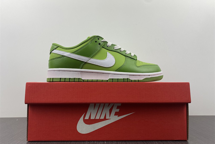 Nike Dunk Low Style Code DJ6188-300