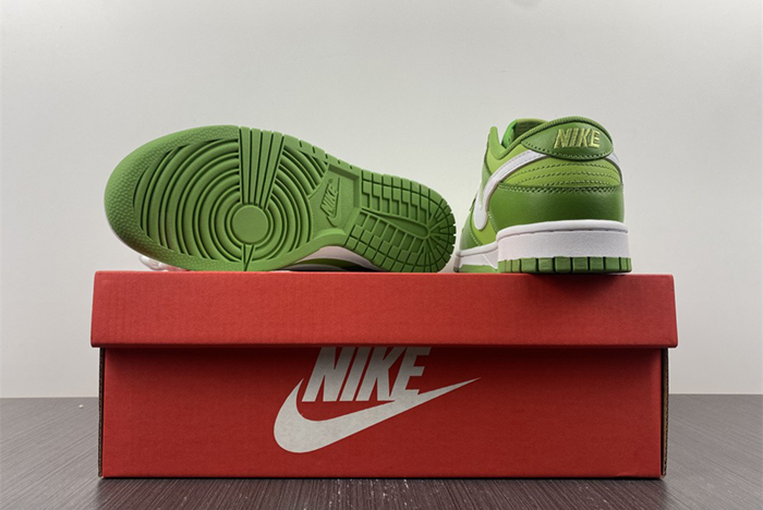Nike Dunk Low Style Code DJ6188-300