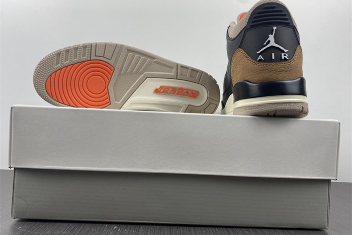 Air Jordan 3 “Desert Elephant”