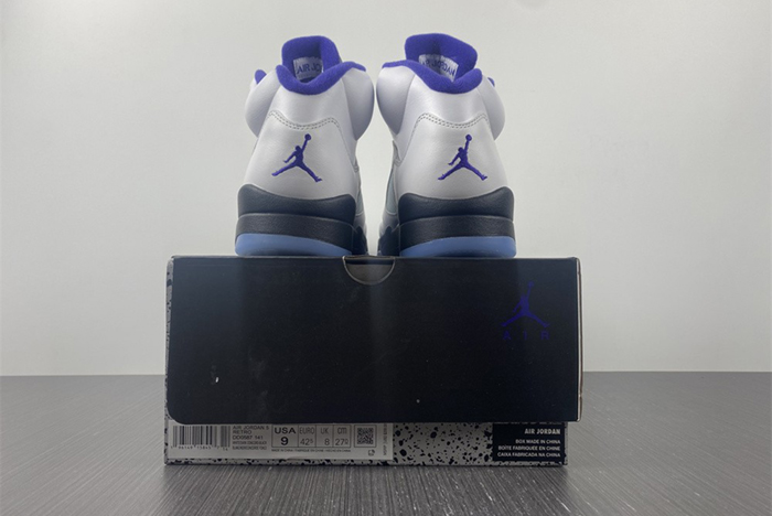 Air Jordan5 CONCORD DD0587-141