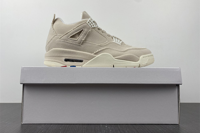 Air Jordan4 WMNS"CANVAS" DQ4909-100