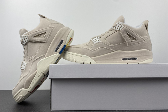Air Jordan4 WMNS"CANVAS" DQ4909-100