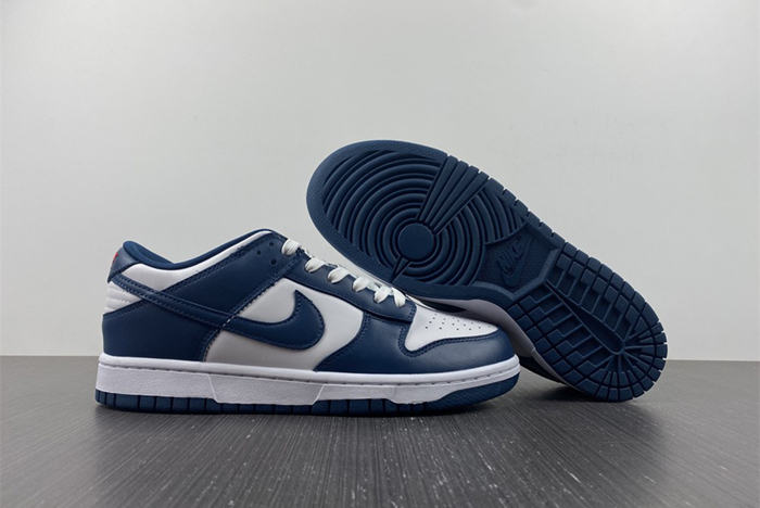 Nike dunk SB Low Retro Valerian Blue  DD1391-400