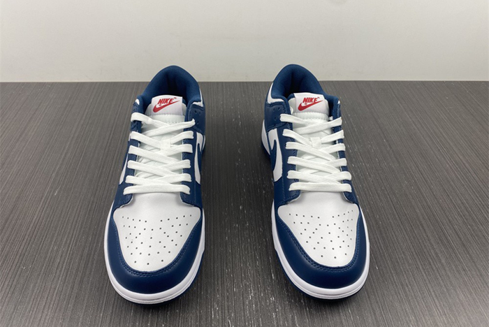 Nike dunk SB Low Retro Valerian Blue  DD1391-400