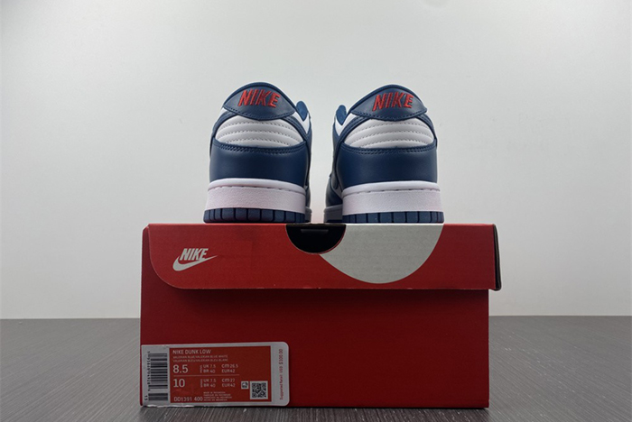 Nike dunk SB Low Retro Valerian Blue  DD1391-400