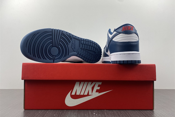 Nike dunk SB Low Retro Valerian Blue  DD1391-400