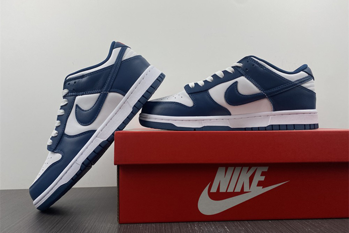 Nike dunk SB Low Retro Valerian Blue  DD1391-400