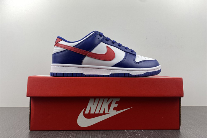 Nike Dunk Low DD1503-119