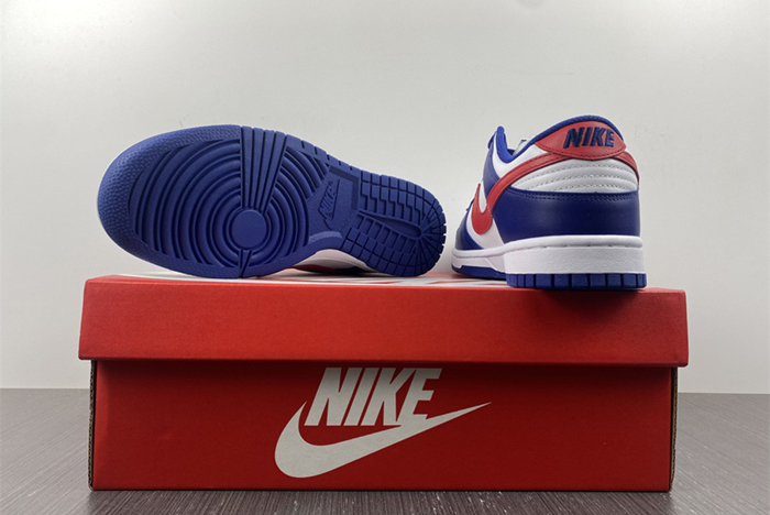 Nike Dunk Low DD1503-119