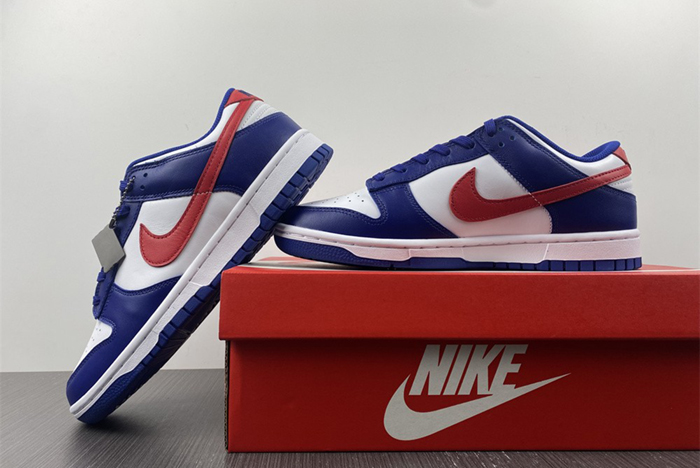 Nike Dunk Low DD1503-119