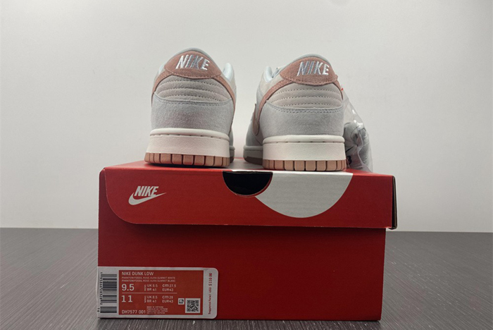 NIKE DUNK LOW DH7577-001