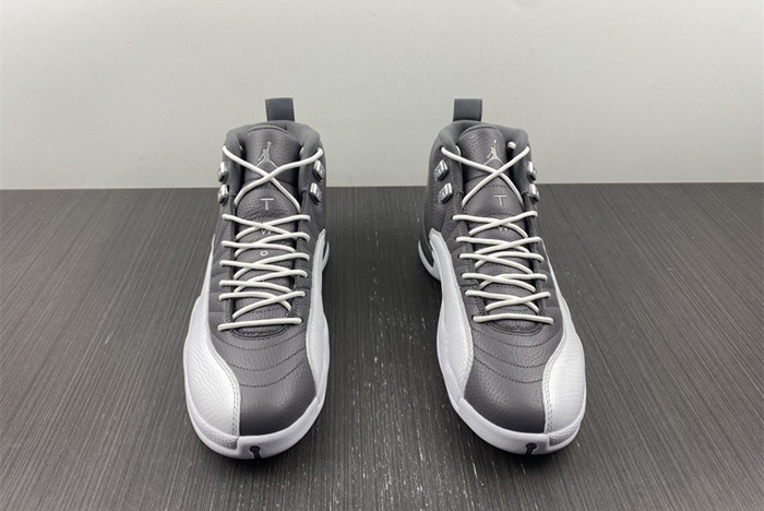 Air Jordan 12 STEALTH CT8025-610