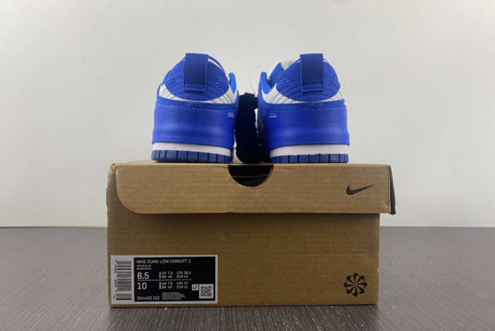 Nike Dunk Low Disrupt2 DH4402-001