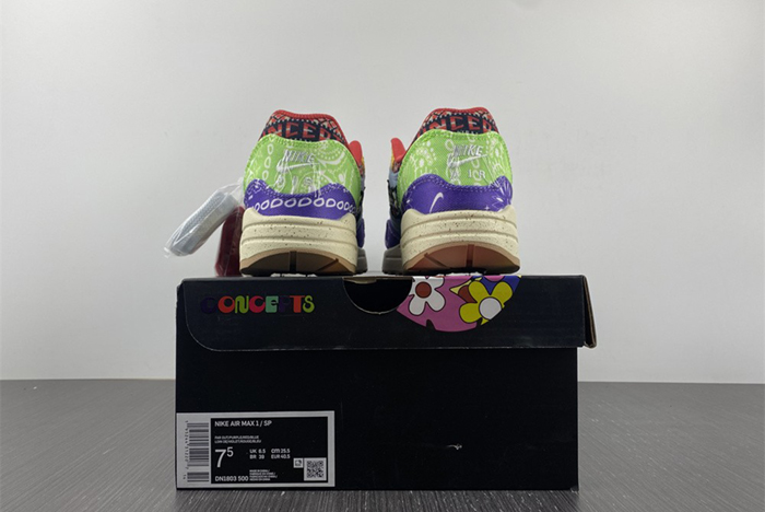 Nike Air Max 1 DN1803-500