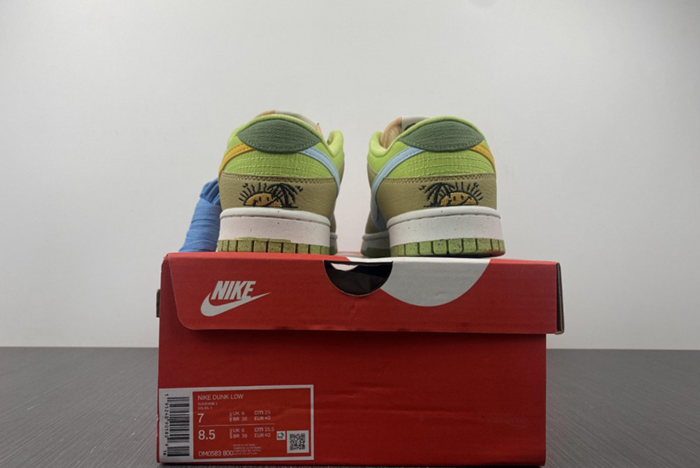 NIKE DUNK DM0583-800