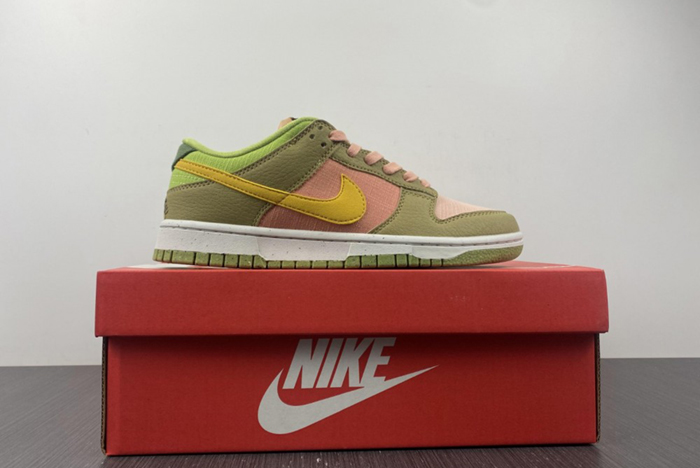 NIKE DUNK DM0583-800