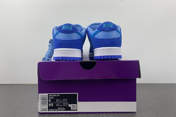 NIKE DUNK DM0807-400