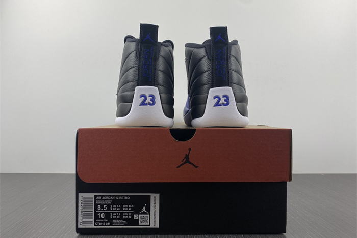 NIKE AIR JORDAN 12 AJ12 CT8013-041