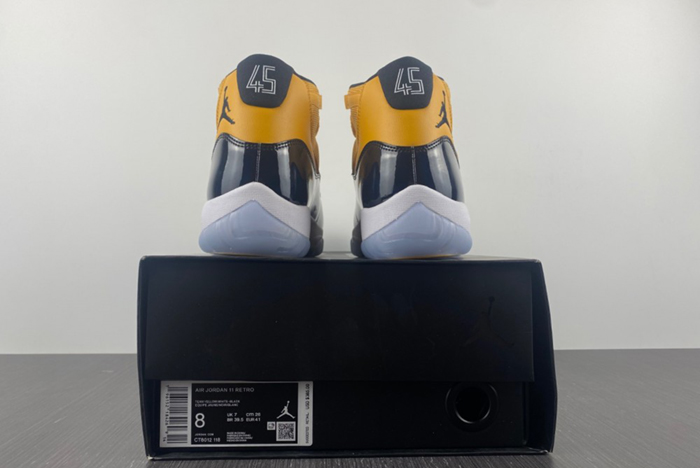Air Jordan 11  CT8013-118