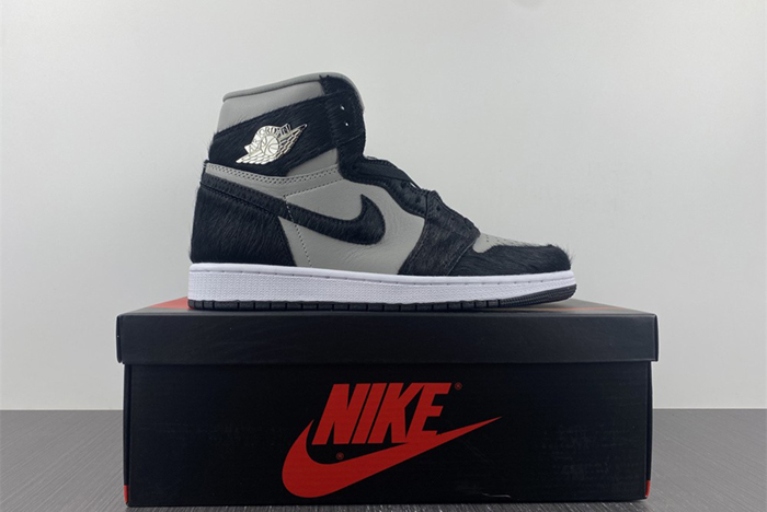 Air Jordan 1 High OG WMNS “Twist 2.0”