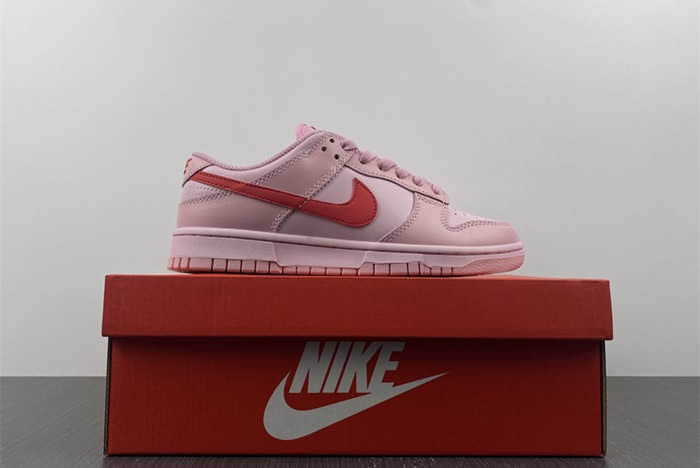 Nike Dunk DH9756-600