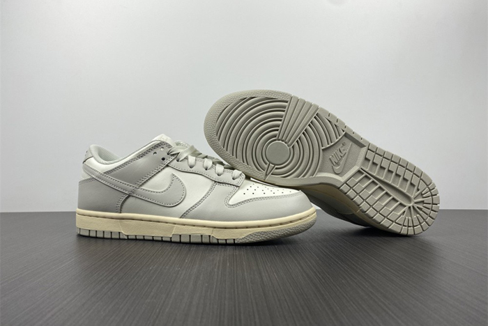 NIKE DUNK LOW DD1503-107
