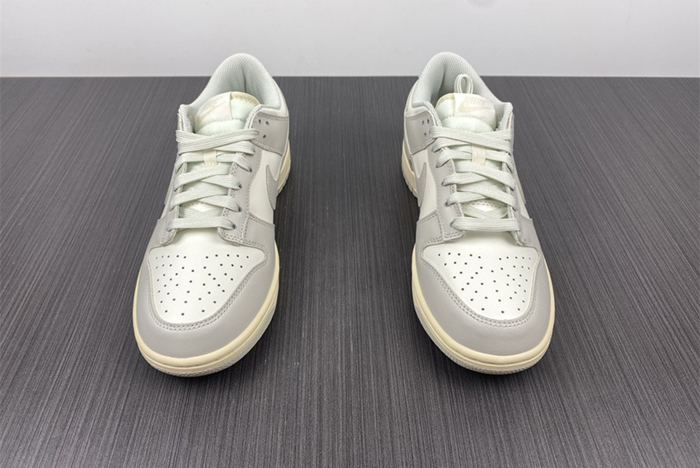 NIKE DUNK LOW DD1503-107