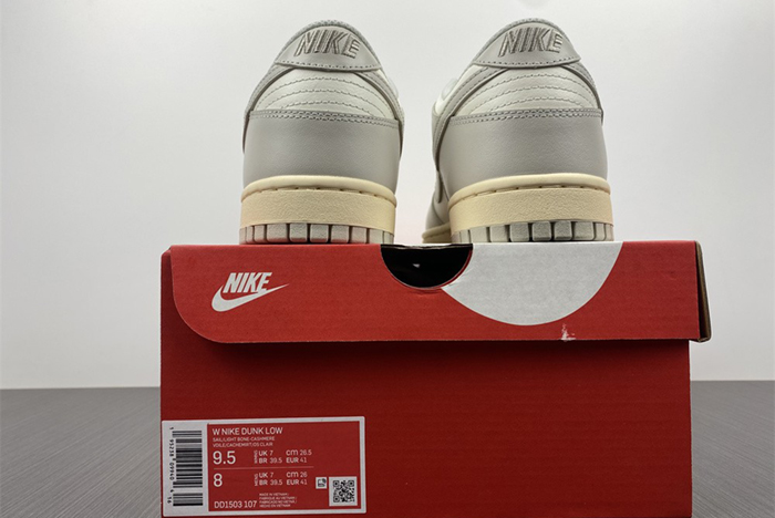 NIKE DUNK LOW DD1503-107