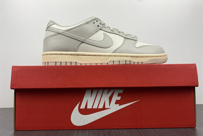 NIKE DUNK LOW DD1503-107