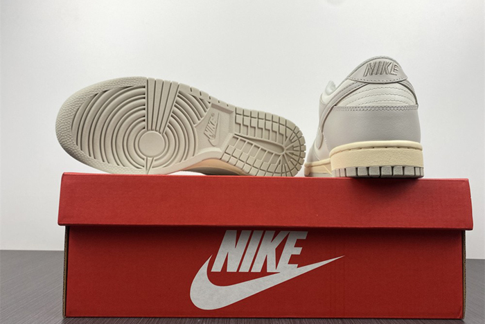 NIKE DUNK LOW DD1503-107