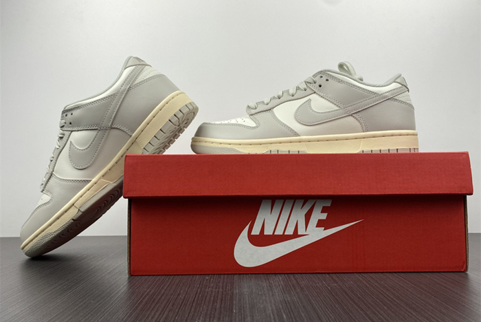 NIKE DUNK LOW DD1503-107