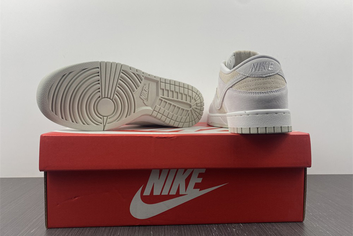 Dunk Low Retro DD8338-001