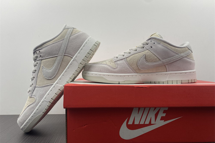 Dunk Low Retro DD8338-001