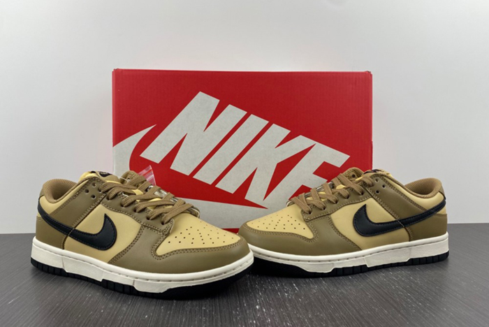 Dunk Low "Dark Driftwood" DD1503-200