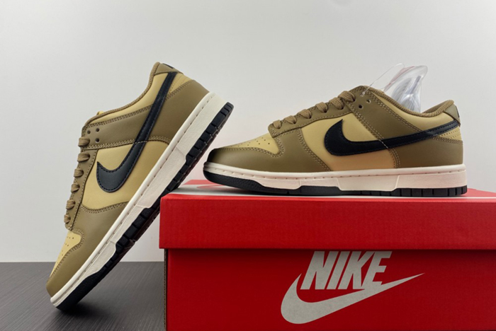 Dunk Low "Dark Driftwood" DD1503-200