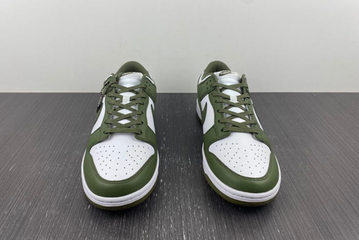 NikeDunk Low DD1503-120