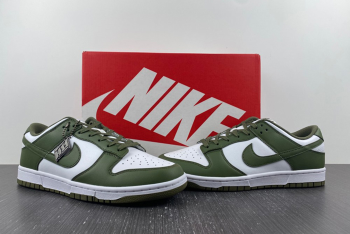 NikeDunk Low DD1503-120
