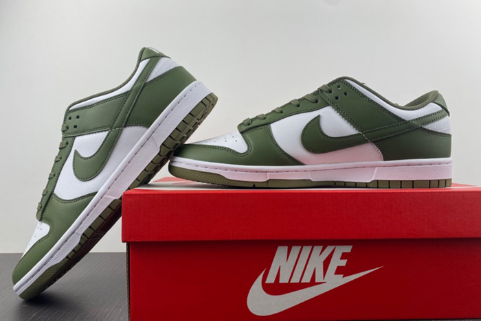 NikeDunk Low DD1503-120