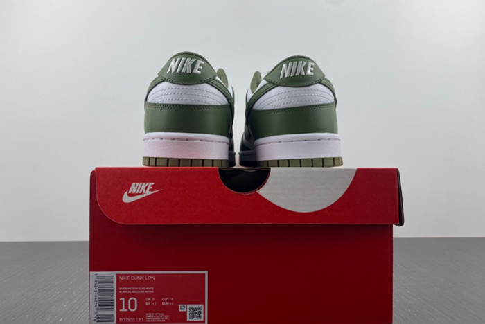 NikeDunk Low DD1503-120