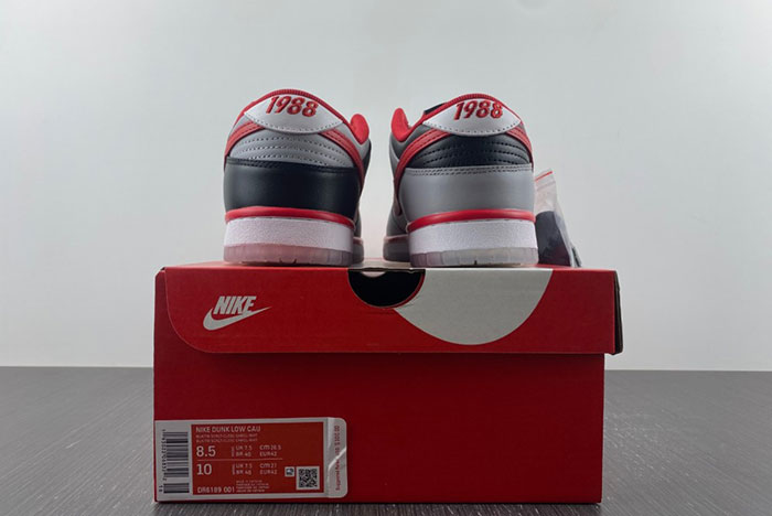 Nike Dunk Low “CAU” DR6189-001