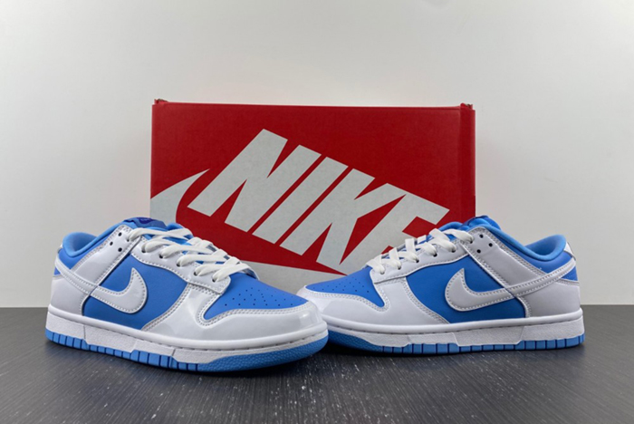 NIKE Dunk Low ESS  DJ9955-101