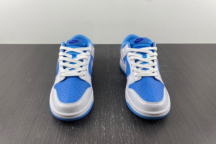 NIKE Dunk Low ESS  DJ9955-101