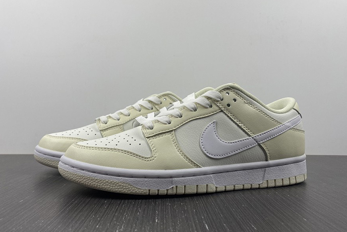NIKE DUNK LOW DJ6188-100