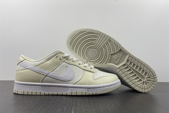 NIKE DUNK LOW DJ6188-100